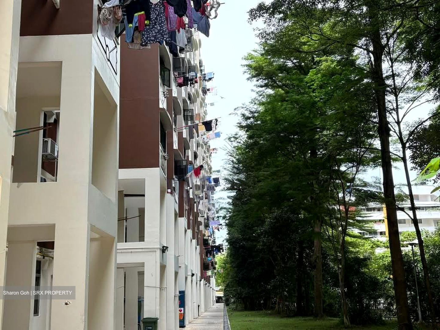 Tiong Bahru Orchid (D3), Shop House #566775191